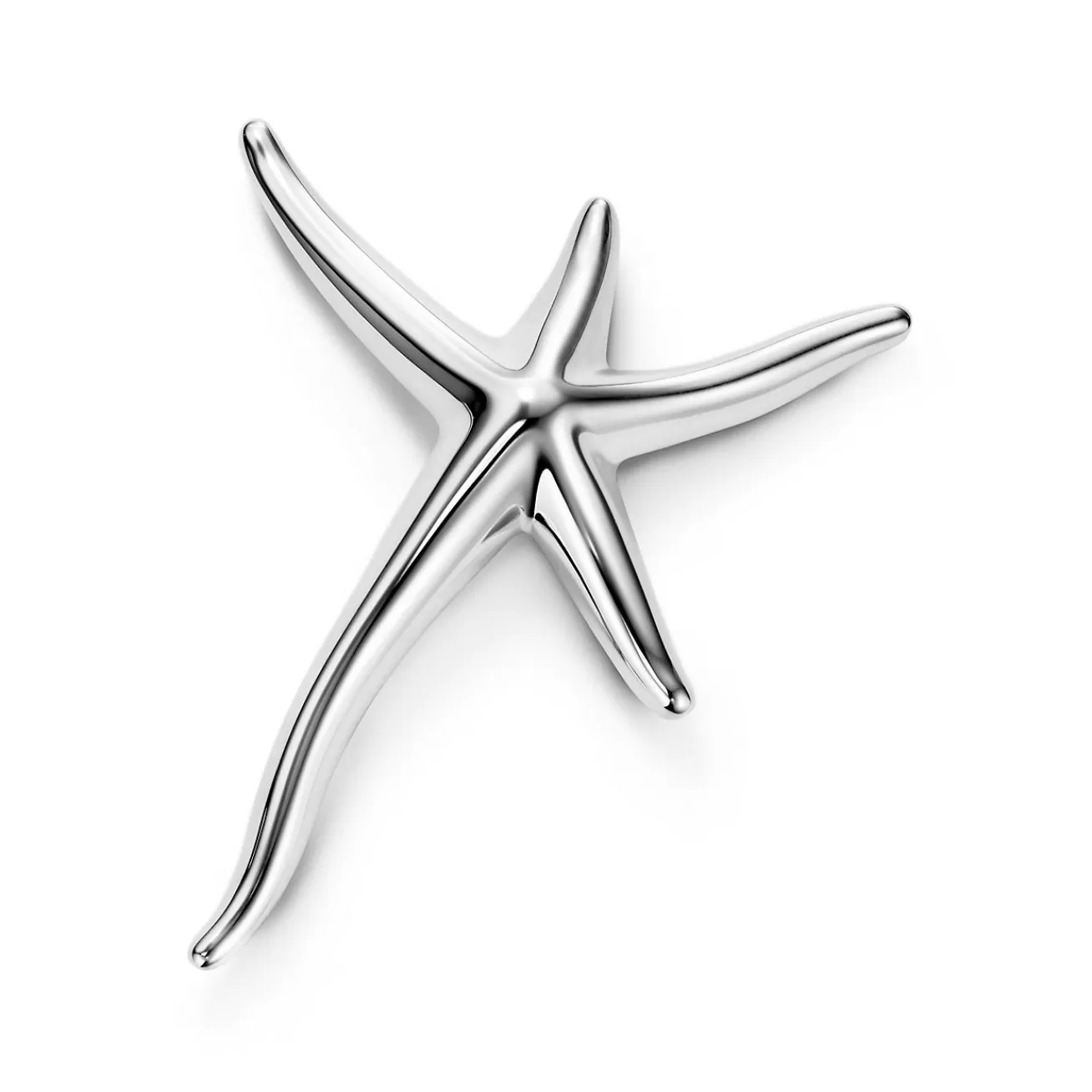 Tiffany & Co. Brooches | Elsa Peretti® Starfish Brooch