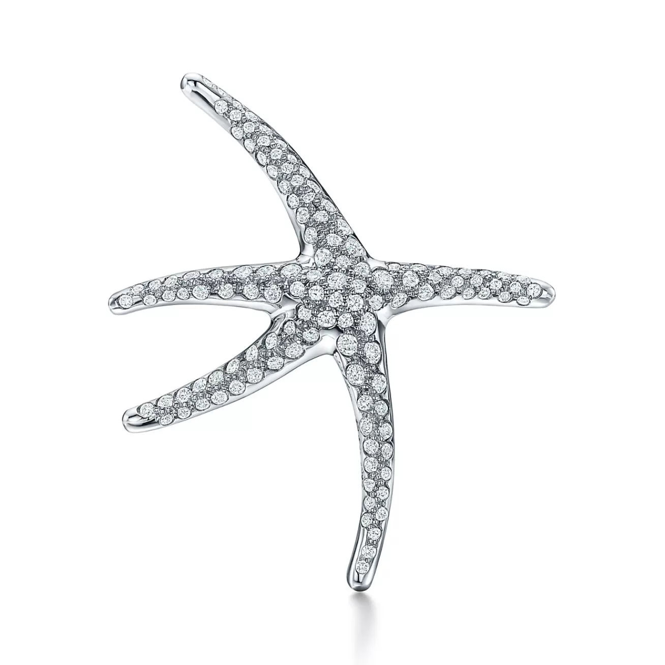 Tiffany & Co. Brooches | Elsa Peretti® Starfish Brooch